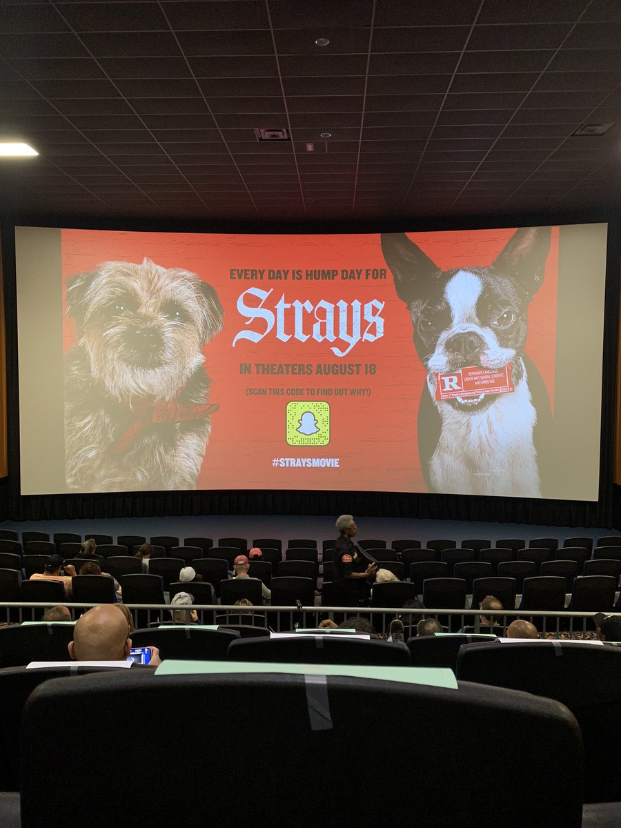 midnight_reel's tweet photo. Excited for this! Love me some raunchy comedy! #StraysMovie #StraysDetroit https://t.co/xJigCuR6Fp