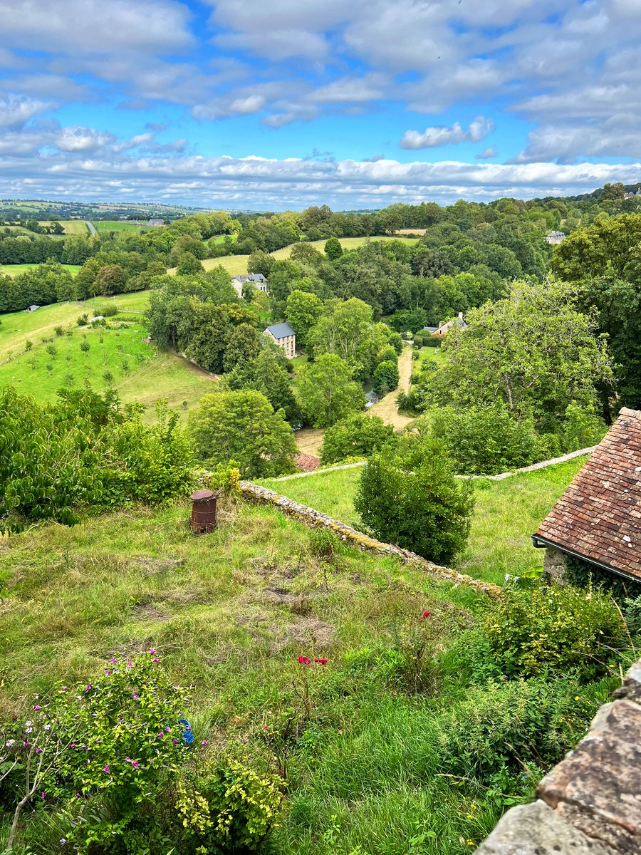 If you’re still reading at this point, hats off to you! Oh, and in case you thought this was documented over several trips, it wasn’t. ALL of the above were seen in 5 days. I hope this thread goes some way to highlighting what we’ve lost and also, what we could have once more…