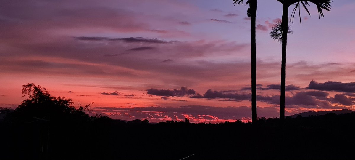 gladysolivia's tweet photo. @tanyarlfes Sumba, left a piece of my heart there.
Definitely coming back one day 💜🌅 https://t.co/RpZntg7Nfh
