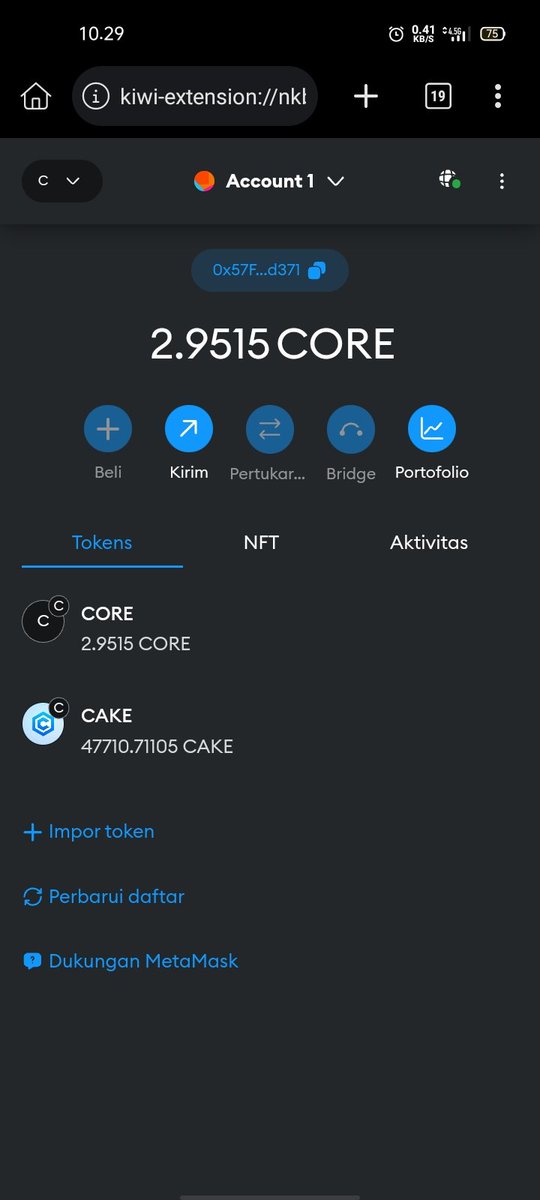 KuatMichael's tweet photo. @cakecore_io https://t.co/xX2mUQ6Cfw