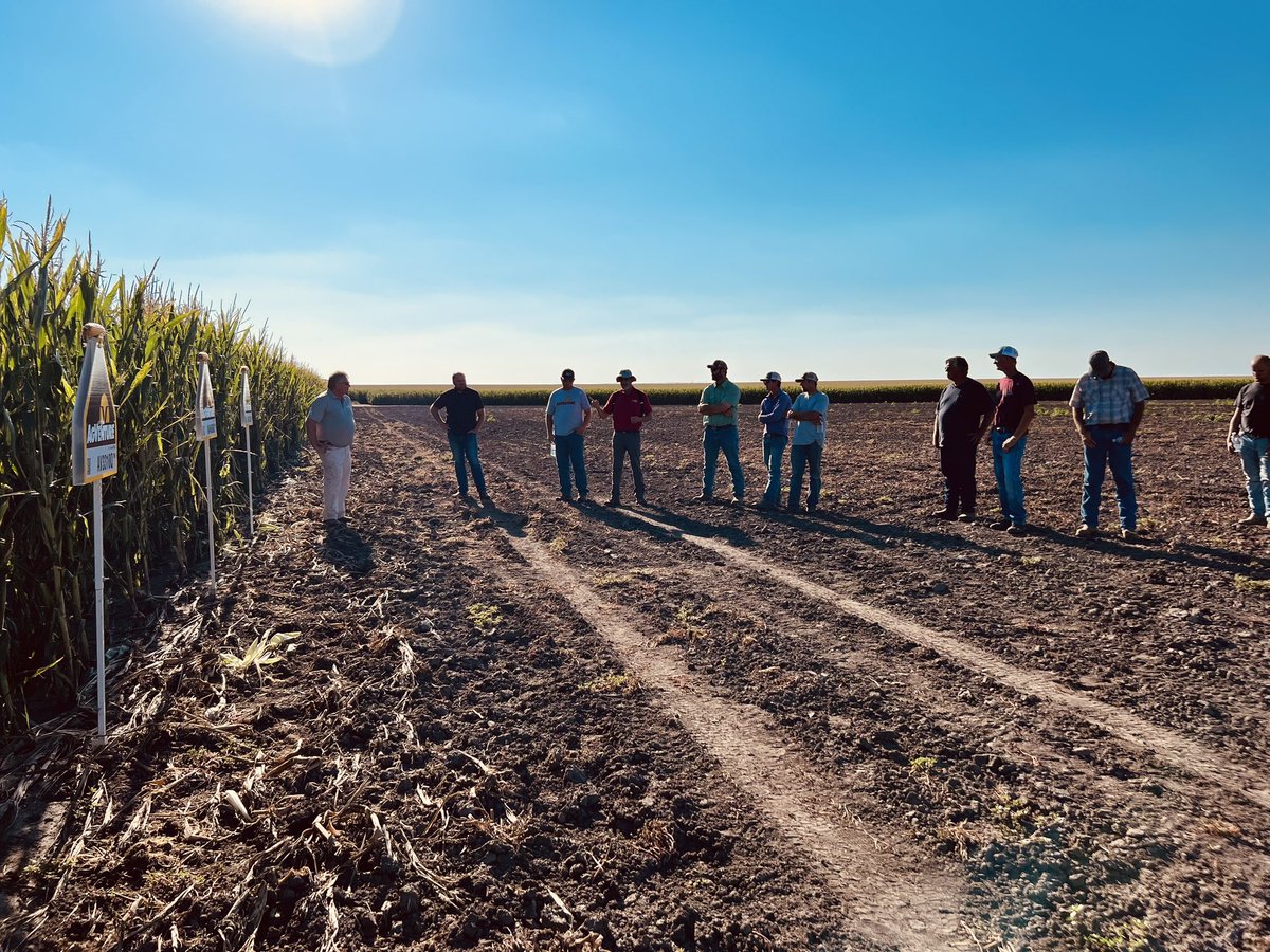 AVHighPlains's tweet photo. Had another great day with @Kelby45Ross and customers in Plains looking at some old faithful, and brand new @AgVentureInc hybrids, and how they fit into their 20 inch row environment! #LocalTested #LocalSelected https://t.co/ZnHXOj4mGv