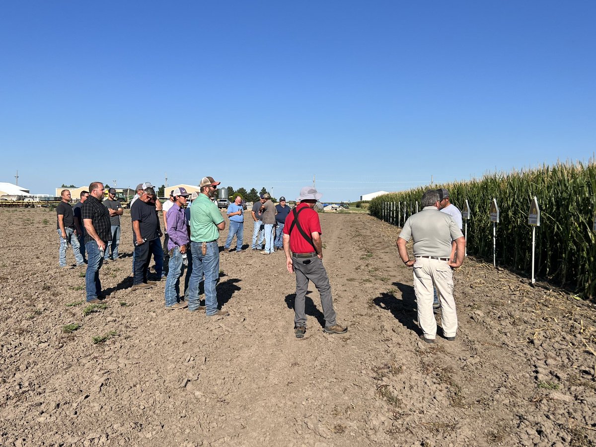 AVHighPlains's tweet photo. Had another great day with @Kelby45Ross and customers in Plains looking at some old faithful, and brand new @AgVentureInc hybrids, and how they fit into their 20 inch row environment! #LocalTested #LocalSelected https://t.co/ZnHXOj4mGv