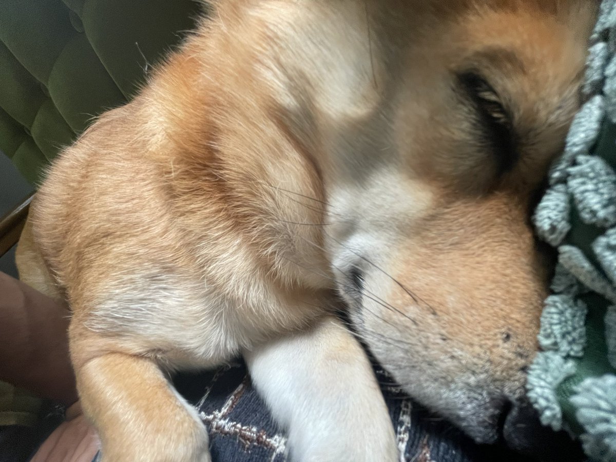 本日と明日はお休みとなっております。
金曜日より通常営業です。
土曜日はうみかぜパークジャムのためお休みとなります。
どうぞよろしくお願いいたします。