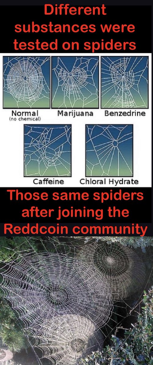 ioDoug_'s tweet photo. #Crypto…if your confused about the payoffs the ripoffs and the things nobody saw…I invite you to ✅ out a more wholesome and friendly #CryptoCommunity #Reddcoin
$RDD #Redd #RealNotShill #Transparency #OrganicAwesomeSauce https://t.co/bCNKJphXK1