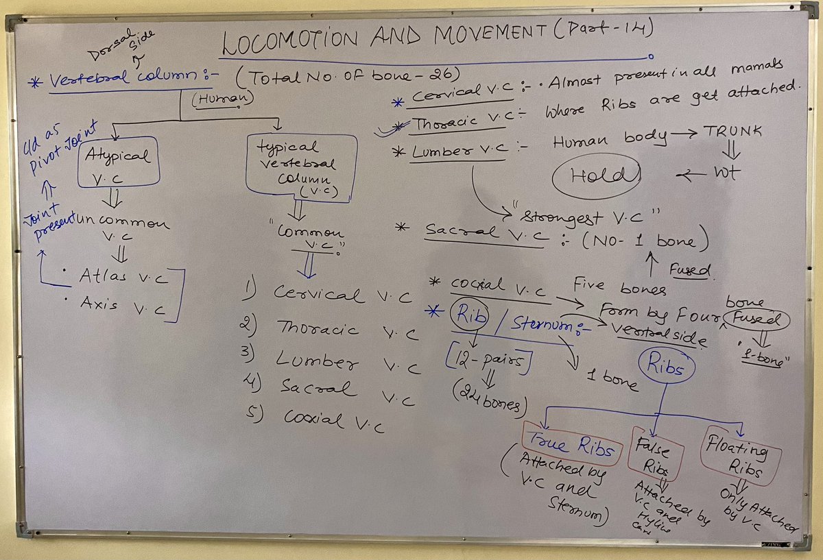 imBioMaster's tweet photo. Locomotion and movement✌️😀

@imsujeet91 
#pw  #byjus #aakashinstitute #aakashbyjus #physicswallah #sankalp #neetexam #neetbiology #neetpreparation #neetcoaching #doctors #unacademy #unacademyneet #edtech #edtechteachers #edtechstartup #educational #neet2024 #humanphysiology https://t.co/55YM3mdySE