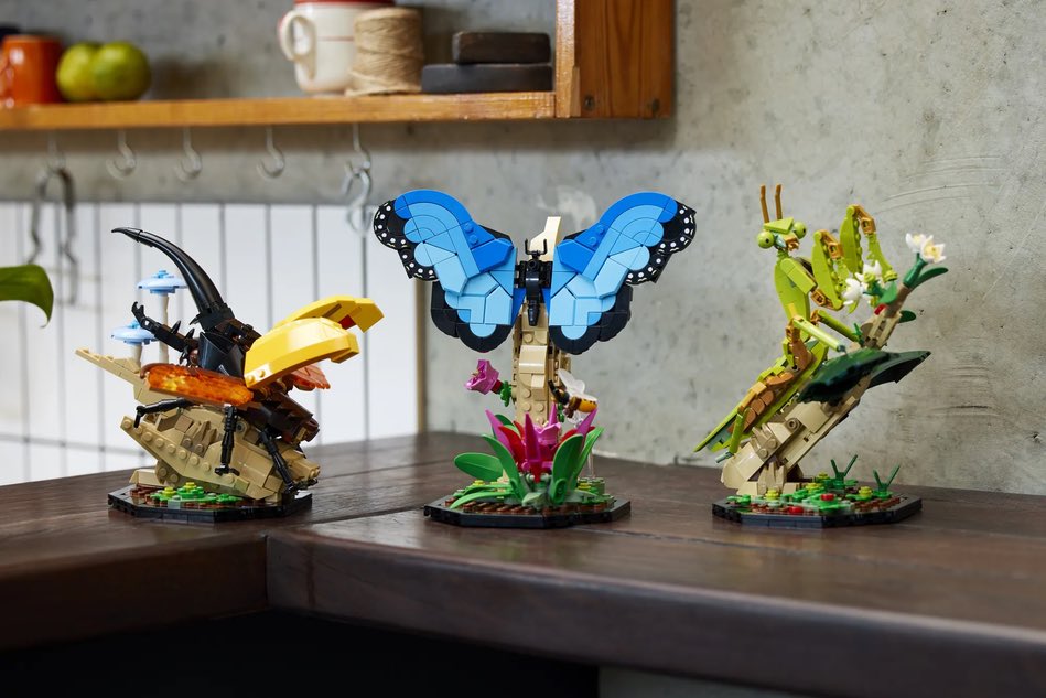 valentino_lasso's tweet photo. No thoughts, only Lego Ideas new Insect Collection Set. https://t.co/mvrg68KAD4