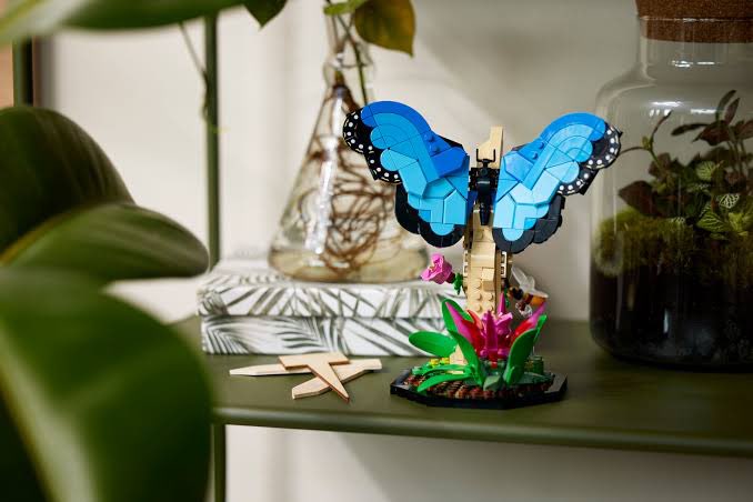 valentino_lasso's tweet photo. No thoughts, only Lego Ideas new Insect Collection Set. https://t.co/mvrg68KAD4