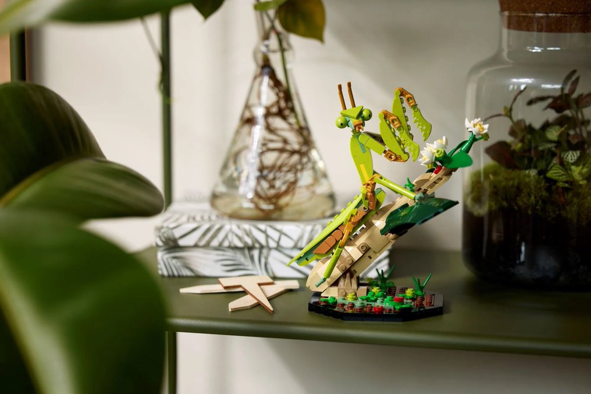 valentino_lasso's tweet photo. No thoughts, only Lego Ideas new Insect Collection Set. https://t.co/mvrg68KAD4