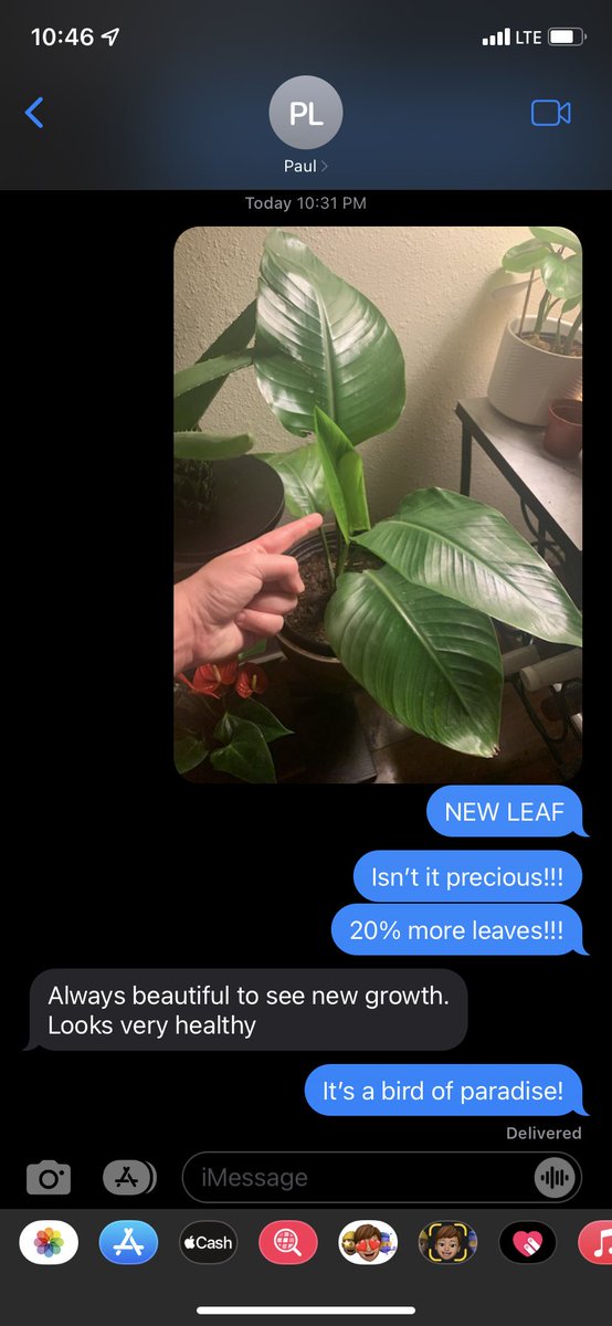 lungareaux's tweet image. Me trying to get my dad to appreciate the limits of my parental skills.

#PapaPaul not impressed.