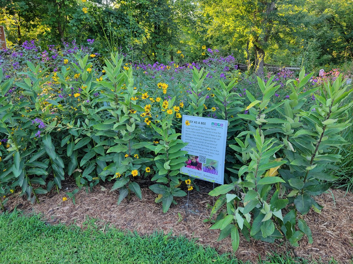 ralphrez's tweet image. The Danford Island Park rain gardens have received the 2023  Community Landscape Beautification Award from the Michigan Nursery and  Landscaping Association. Help celebrate at a ceremony on Wednesday, August 16, 2023 at 10 am at Danford Island Park.  #Dimondale