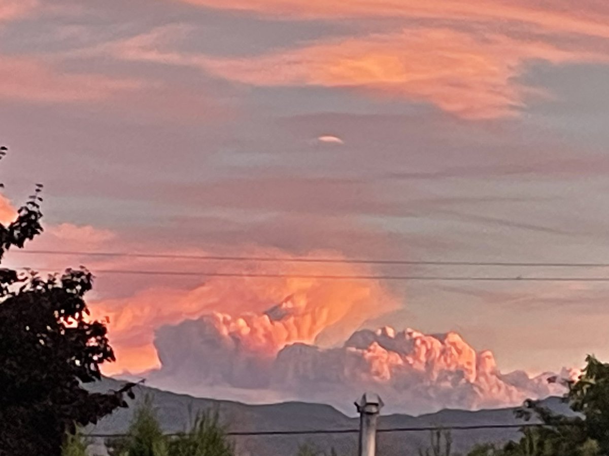 Dennis Miller 🇨🇦🐶 tweet media