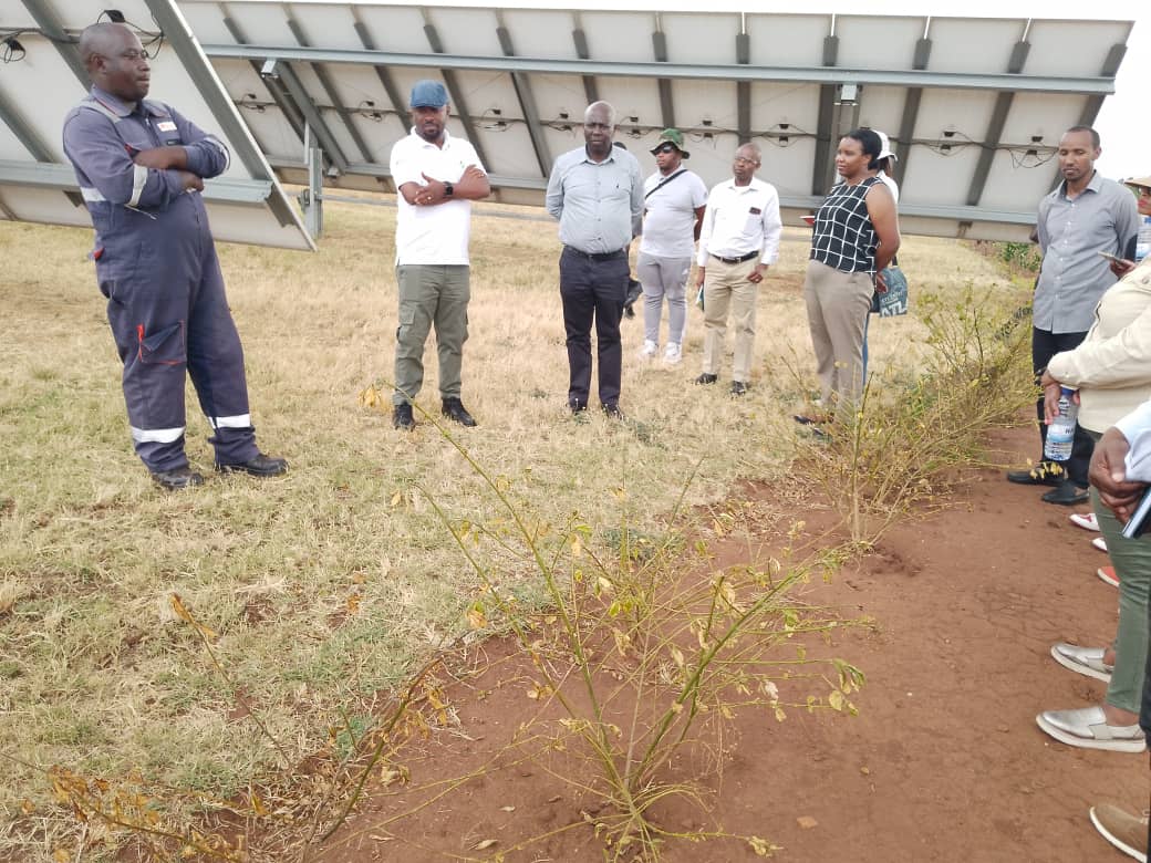 Learning Modern Agriculture! Why we're harvesting from season c? It's all about irrigation #RwandaWorks💪

#VisitKirehe
#Agri_tourism
#ModernAgriculture

@Ilde_Musafiri @harerimana_tito  @Muzeturwubake @MAbdallaziz @muhaziyacu @IGIHE @GagaUwera @Lee_Fabricee