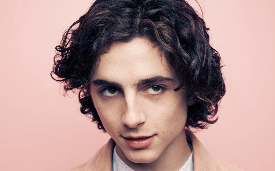FilmUpdates's tweet photo. Greta Gerwig reveals Timothée Chalamet visited the #Barbie set and said “I should be in this.” https://t.co/m1IpCR63BE