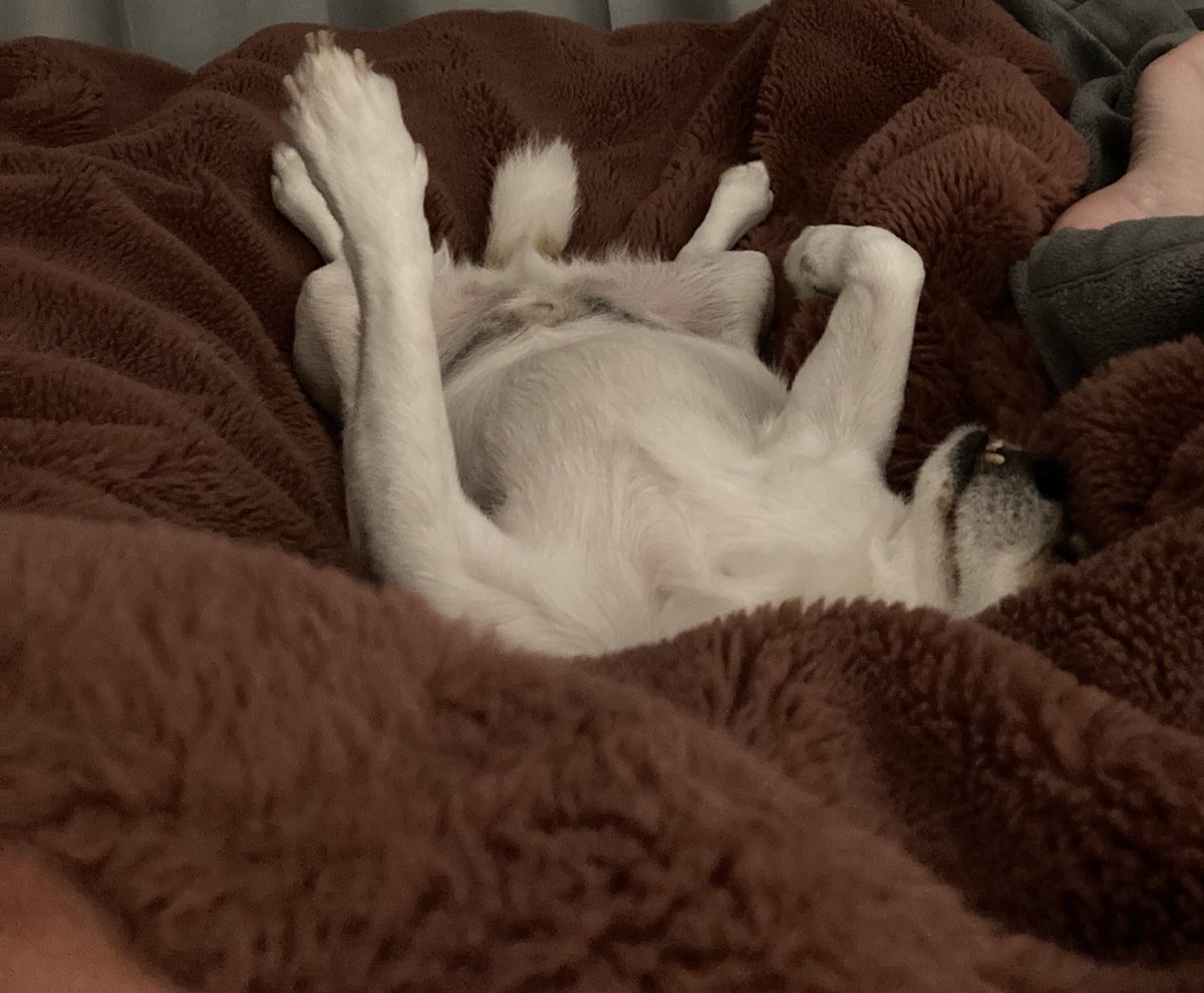 I’m feeling very grateful today. We move into our new apartment this Friday, my puppy is being super snuggly, I’m fully done done with my PhD, I start a really interesting new project next week and I have an amazing partner who has supported me so all this was possible