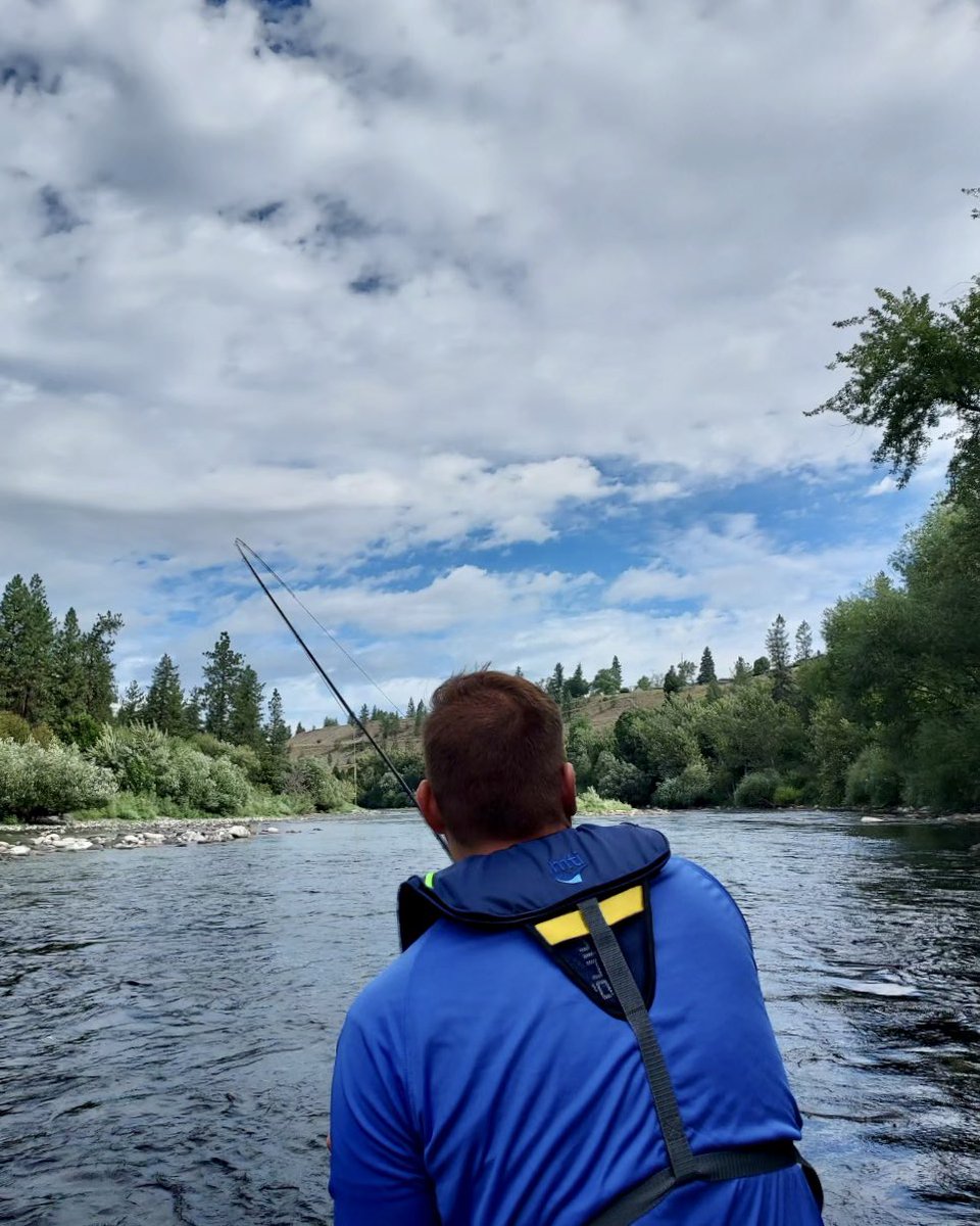 spokaneflyshop's tweet photo. I notice a common theme in the boat for SBFS Guide Jake Hood… 🎣🎣🎣🎣🎣
#spokaneriver #spokane #flyfishing #flyfish #fishing #guidedtrips #silverbowflyshop https://t.co/M9xG4Ld6kU