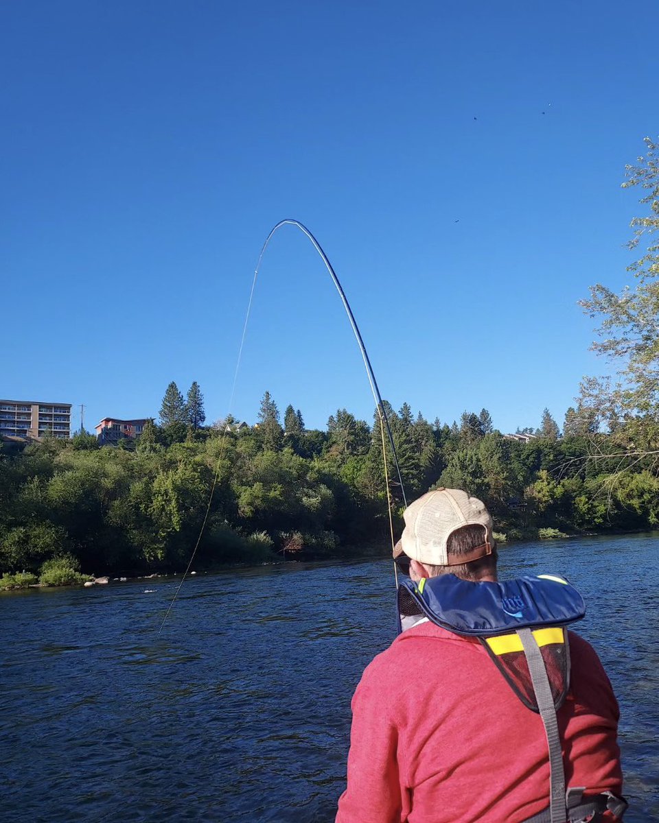 spokaneflyshop's tweet photo. I notice a common theme in the boat for SBFS Guide Jake Hood… 🎣🎣🎣🎣🎣
#spokaneriver #spokane #flyfishing #flyfish #fishing #guidedtrips #silverbowflyshop https://t.co/M9xG4Ld6kU