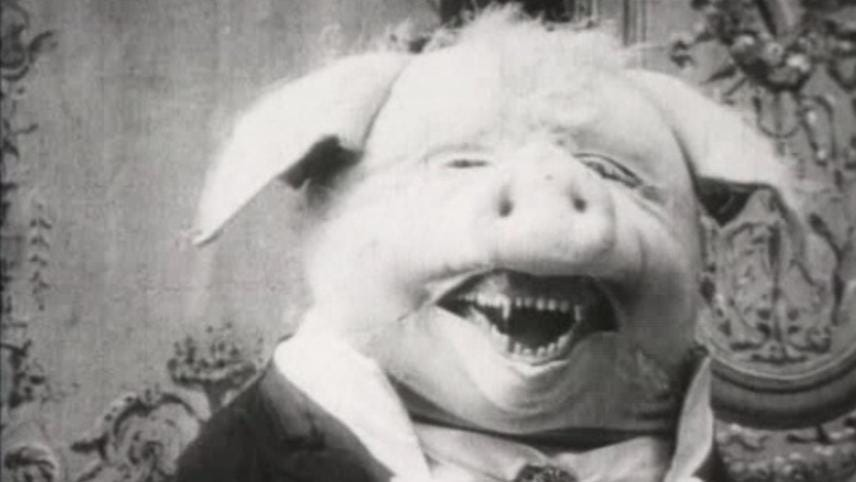 halloween_real's tweet photo. FUN FACT: sinister hog is at your door #halloween https://t.co/3CZdr7mh6l
