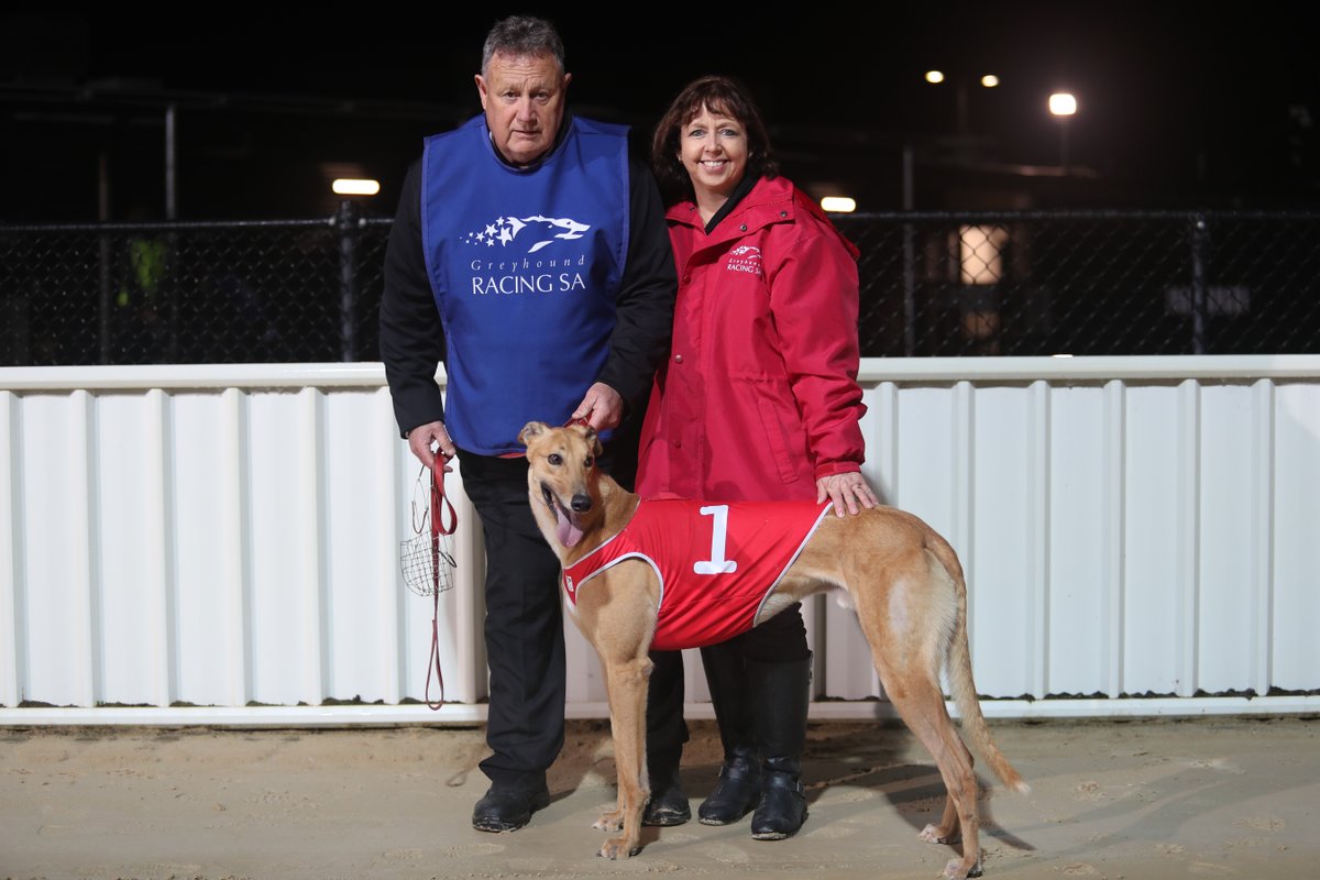 GRSANews's tweet photo. It was another fantastic week of racing across the two meetings at Murray Bridge punctuated by some quick times and impressive training performances.
Catch up on all the action with our Murray Bridge weekly recap 👇
📰 https://t.co/AvfhZFEb0u https://t.co/fB930BwPlu