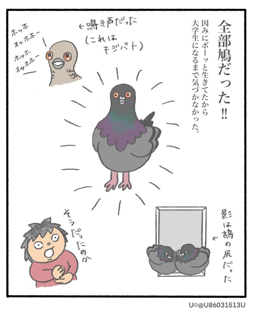 ずっと気づかなかった幼き頃の疑問🕊

#漫画が読めるハッシュタグ 