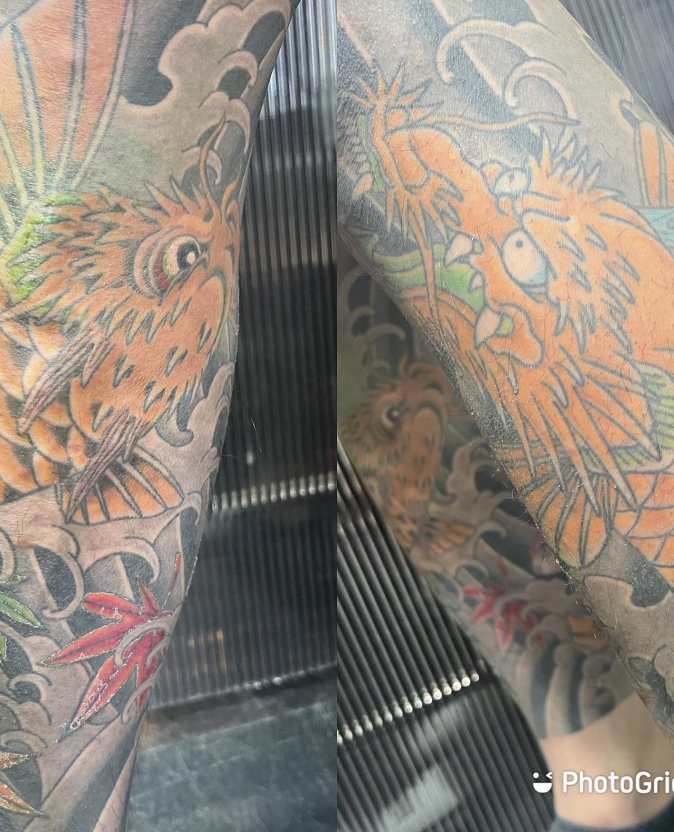 HyperdragonTat2's tweet photo. Tattoo photo…59
@ryoji088 
#hyperdragon #高知 #高知タトゥー #高知tattoo #刺青 #入れ墨 #タトゥー #彫龍 #tattoo https://t.co/3NWSxBSXNS