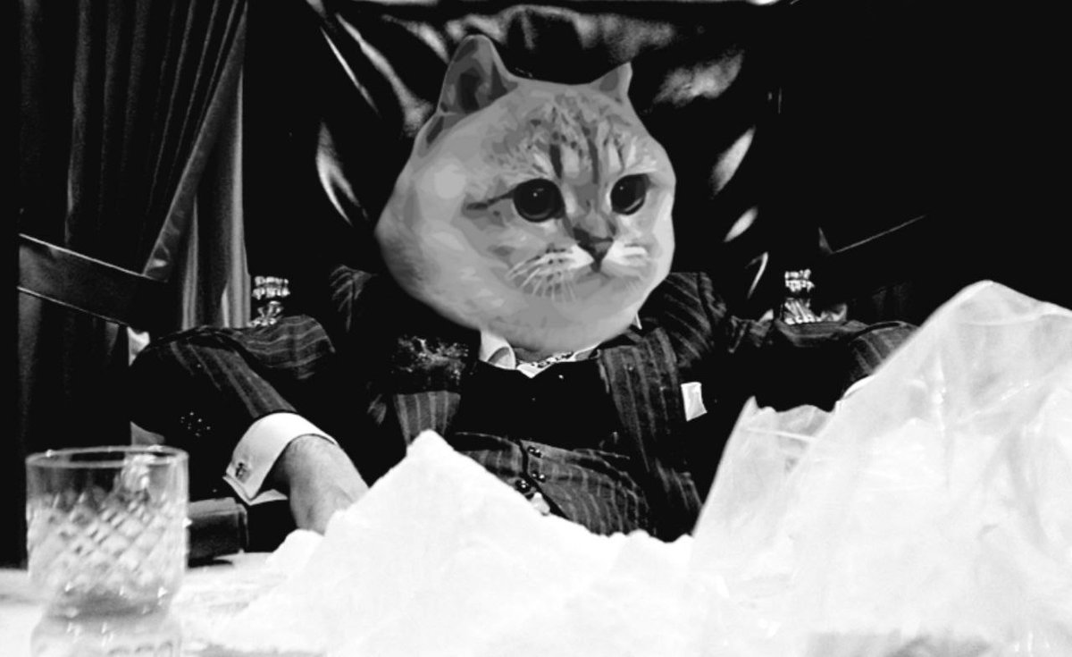 can devs do something? $XCATGE