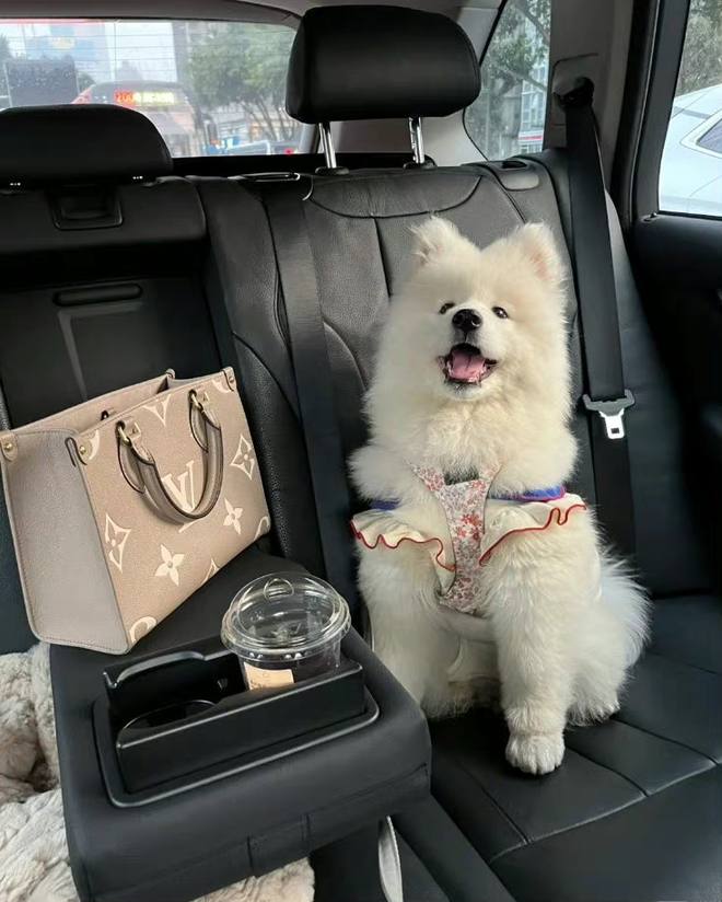 Andina (@andina1256) on Twitter photo 