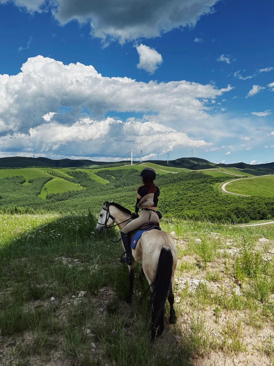 As big as the sky is, let it go wide. As far as the great road goes, as long as happiness lasts.📷 📷 📷  #horse #paard #instahorse #horsesplanet #dressagerider #ridinglesson #horsetraining #horseriders #equestrianblog #equestrianstyle #jumpinghorse #horsejumping