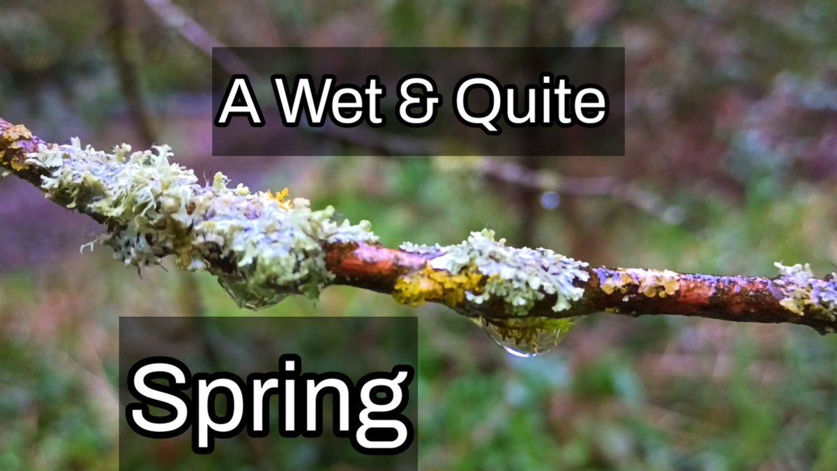 💧☔💧
A Beautiful Wet Spring.

youtu.be/SQoAO7n02p0

#OptOutdoorsItsALifestyle
#RhondaGraceExploring