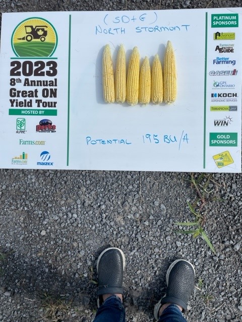 First day on Great Ontario Yield Tour in SD&amp;G County #ONYield23 
#GreenfieldGlobal <a href="/OntAg/">Farms.com Ontario</a>