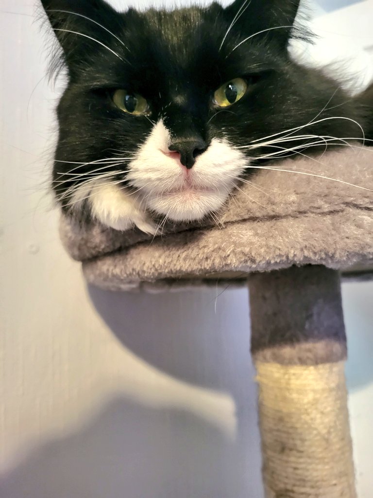 Albadragqueen's tweet photo. My child 🥰 https://t.co/R7CxjZp3pO