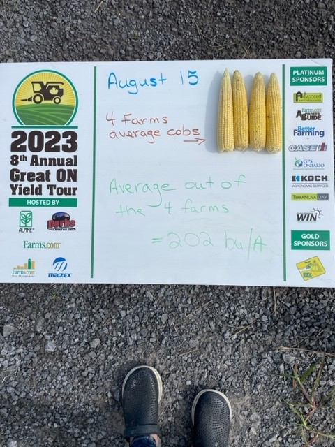 #Onyield23 average corn yield from 4 farms
#corn #GreenfieldGlobal