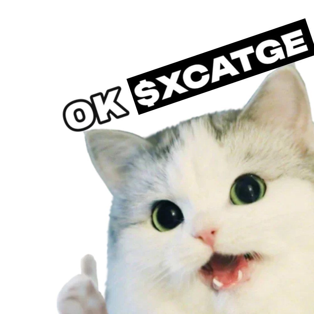 <a href="/CryptoTalkMan/">CTM</a> Ok 👍 
@xcatge