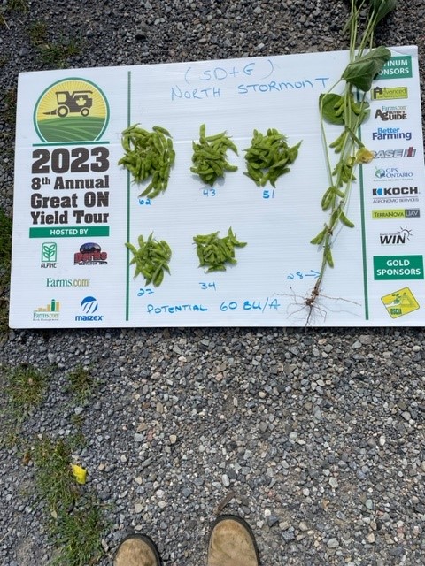 First day Great Ontario Yield Tour #ONYield23 
#GreenfieldGlobal