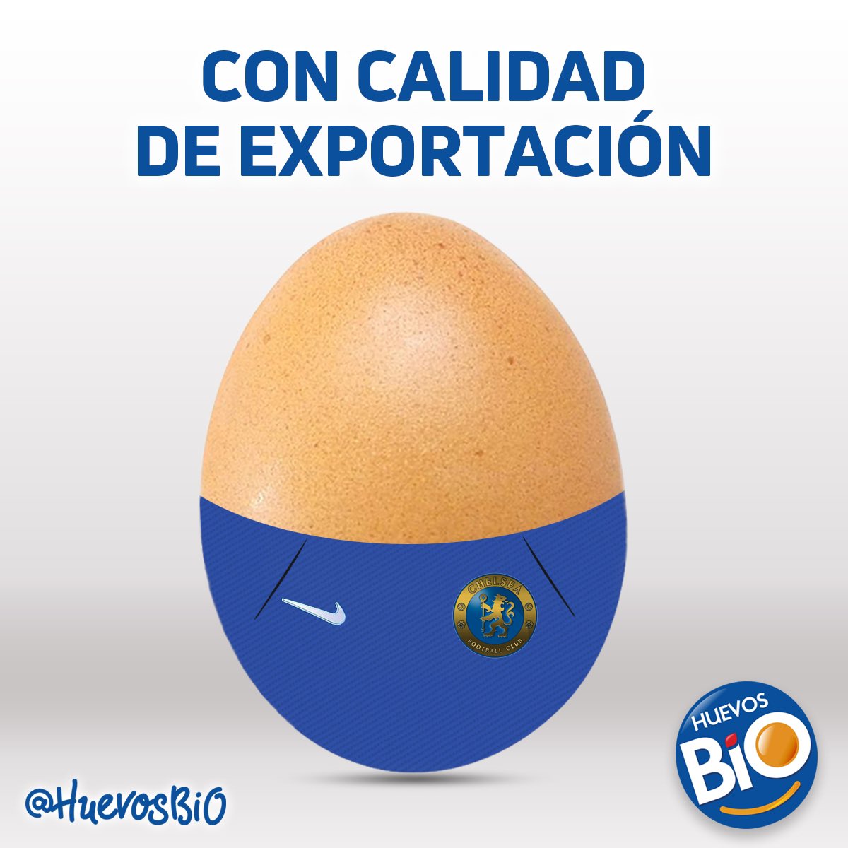 BioHuevos tweet media