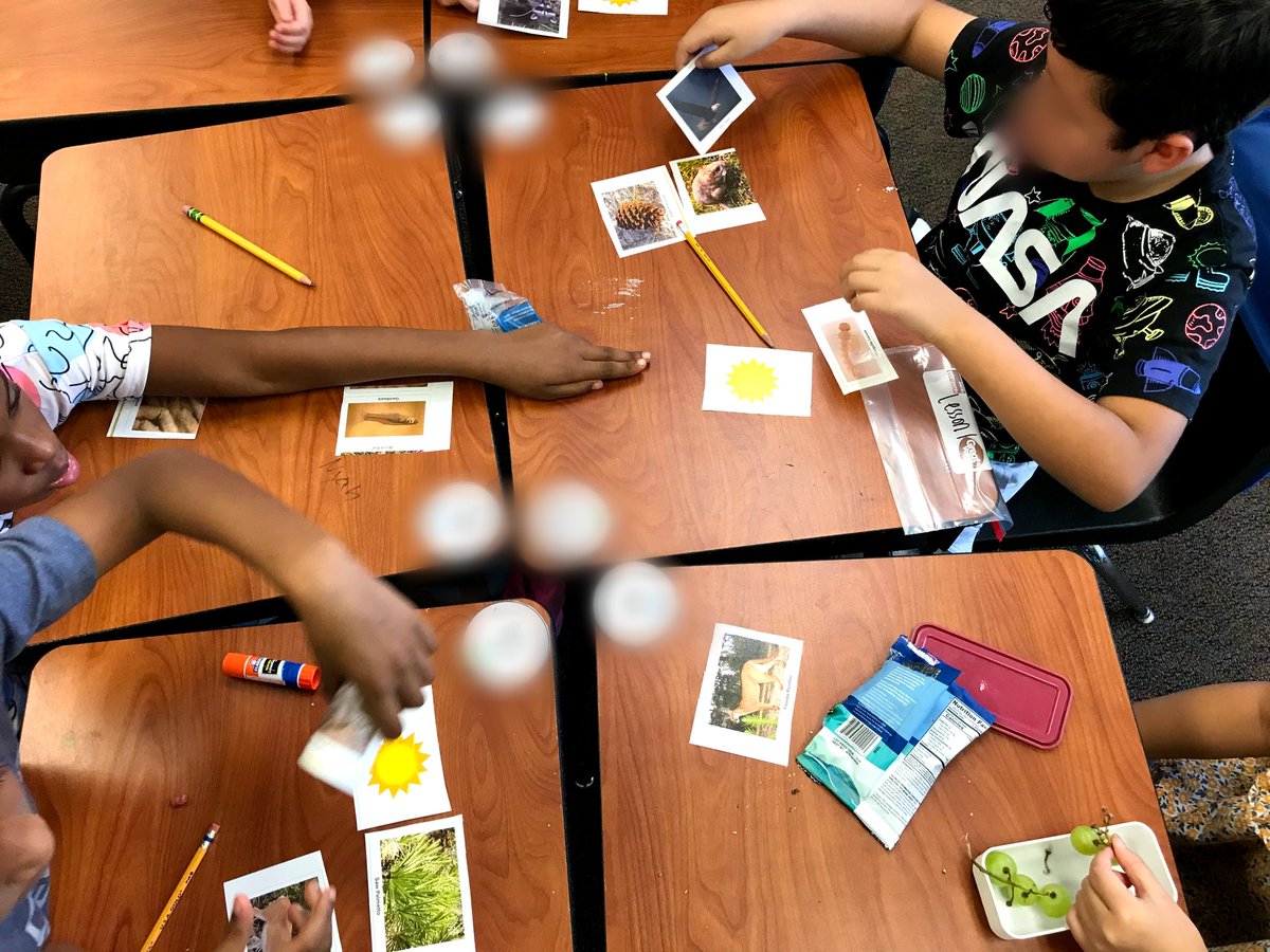 During science today, we participated in the first 4th <a href="/TeachEverglades/">EvergladesEducation</a> lesson. The kiddos loved the food chain sort and had great discussions on predators and prey 🏫
<a href="/BaldwinPk_OCPS/">Baldwin Park Elementary</a> <a href="/OcpsEast/">OCPS East</a>