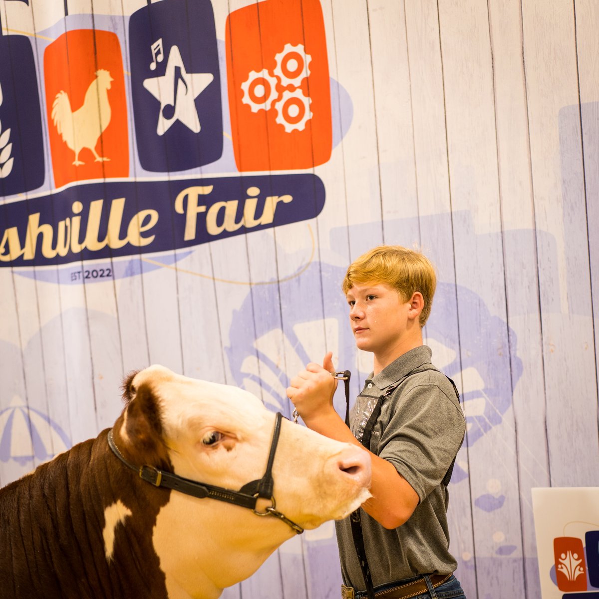 tnhereford's tweet photo. Online registration is now available for the 2023 Tennessee State Hereford show at The Nashville Fair! 

You can register online at https://t.co/NcKNfpeVzi. https://t.co/NWu5AyDONd