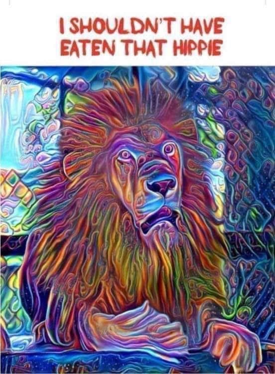 bentdashbox's tweet image. 😂