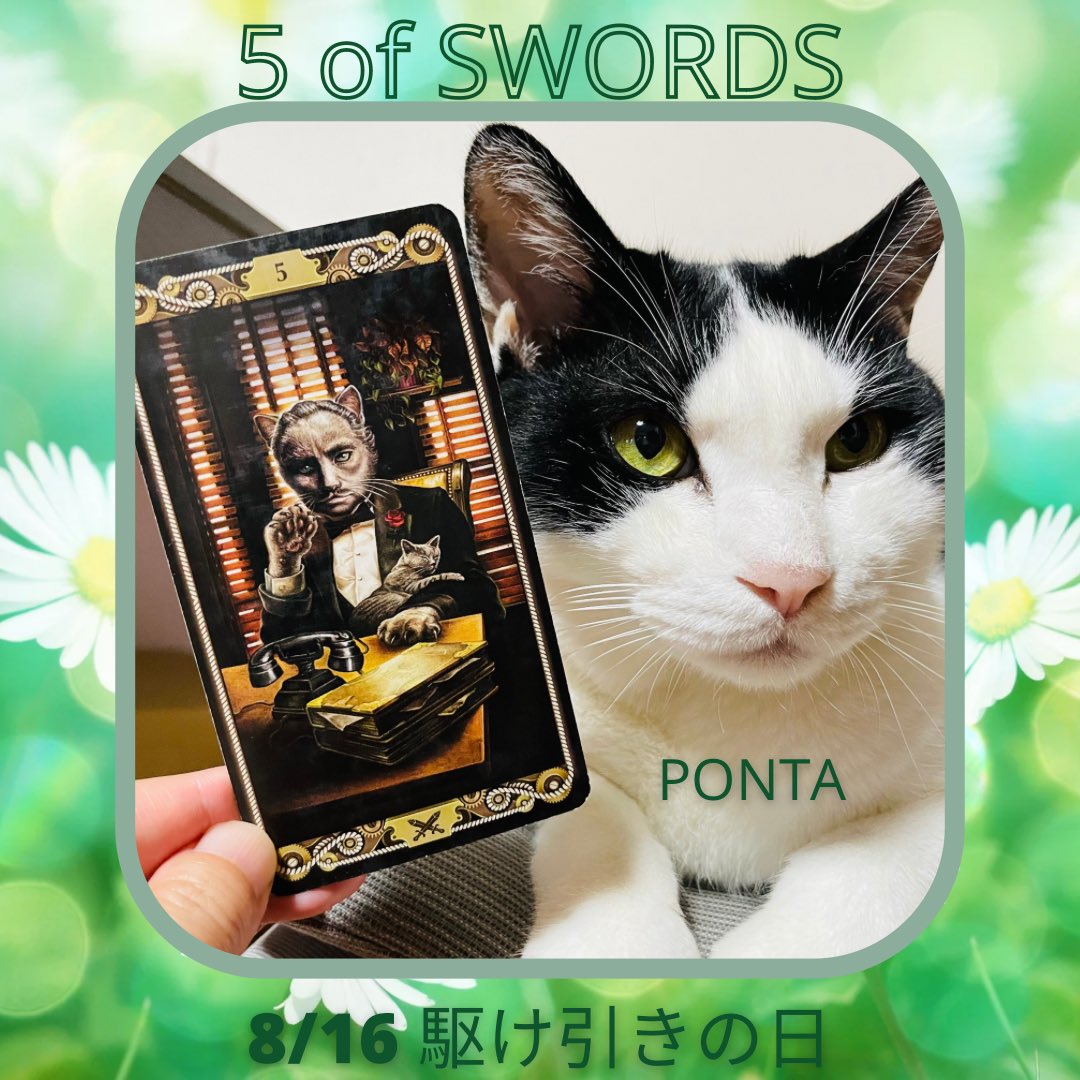 oraclerinko's tweet photo. 8/16駆け引きの日🧐なりふりかまっていられない、自分に有利になるよう計画する日。誰かと争うこともありそう😤緻密な作戦をたてて☝️場合によっては情や甘い気持ちは捨てて。悪事にひっぱられないよう注意して。 #5ofSWORDS #台風大丈夫だったかニャ #タロット #猫 https://t.co/gaM7std2hG