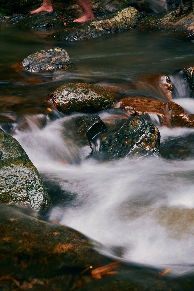 Ismacko_design's tweet photo. Visitando el #chocóandino y en esta ocasión estuve en la finca las taguas recorriendo ese hermoso lugar y visitando su cascada.
📸: SonyA7iv -  #sonyalpha #sonyphotography #sonyalphasclub #sonya7ivphotography

#ismacko #fotografosecuatorianos #InstameetEc #noalamegamineria https://t.co/jp4avKFk4w