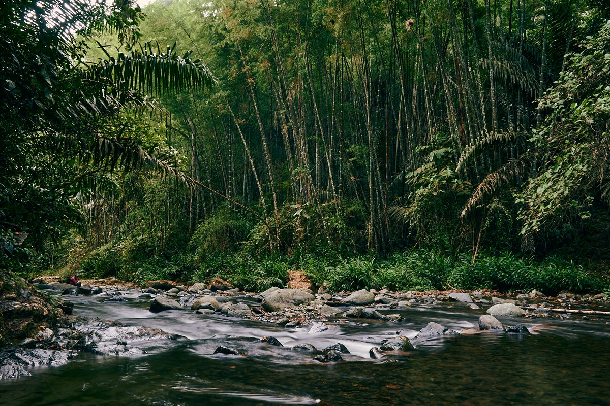 Ismacko_design's tweet photo. Visitando el #chocóandino y en esta ocasión estuve en la finca las taguas recorriendo ese hermoso lugar y visitando su cascada.
📸: SonyA7iv -  #sonyalpha #sonyphotography #sonyalphasclub #sonya7ivphotography

#ismacko #fotografosecuatorianos #InstameetEc #noalamegamineria https://t.co/jp4avKFk4w