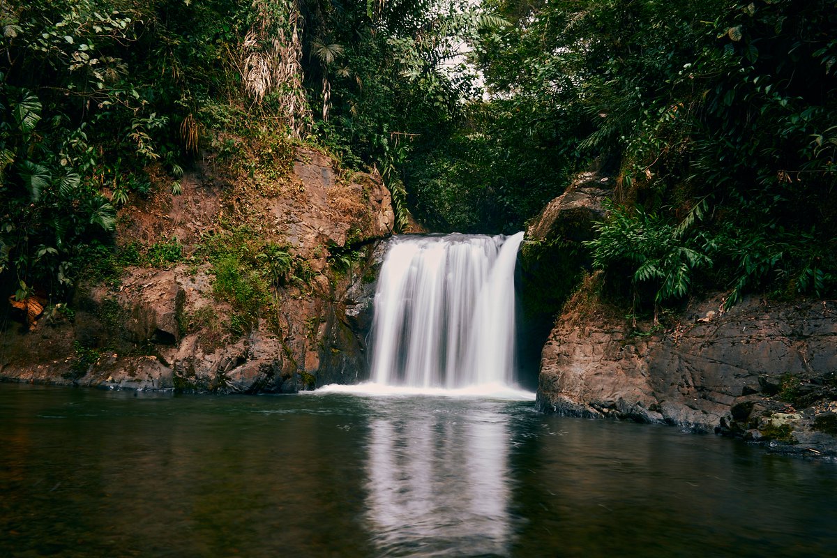 Ismacko_design's tweet photo. Visitando el #chocóandino y en esta ocasión estuve en la finca las taguas recorriendo ese hermoso lugar y visitando su cascada.
📸: SonyA7iv -  #sonyalpha #sonyphotography #sonyalphasclub #sonya7ivphotography

#ismacko #fotografosecuatorianos #InstameetEc #noalamegamineria https://t.co/jp4avKFk4w