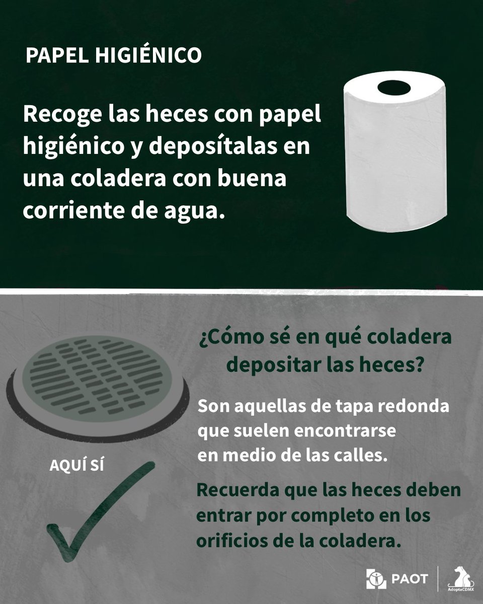 PAOTmx's tweet photo. 📖 Manual de #ManejoDeHeces 💩
🔁¡Comparte y promueve la  #TutelaResponsable !
Conoce cómo manejar las heces de los animales de compañía. 
Consulta el manual: 👉 https://t.co/x0g7zfD65c

@AgatanCdmx https://t.co/O0Cb91e8eZ