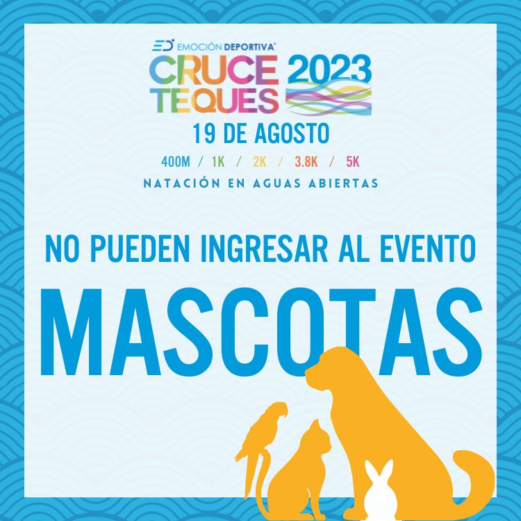 CruceTeques's tweet photo. Cruce Teques INFORMA que las mascotas se deberán quedar en casa.
La administración del lugar no nos permite el ingreso de mascotas antes, durante o después de la competencia.
Gracias por su apoyo.  
Vive Nadando en Cruce Teques. https://t.co/hjsoxrhFxg