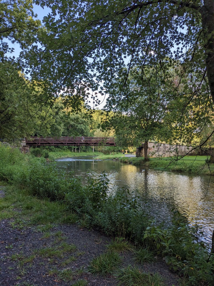 Laura Dunne tweet media