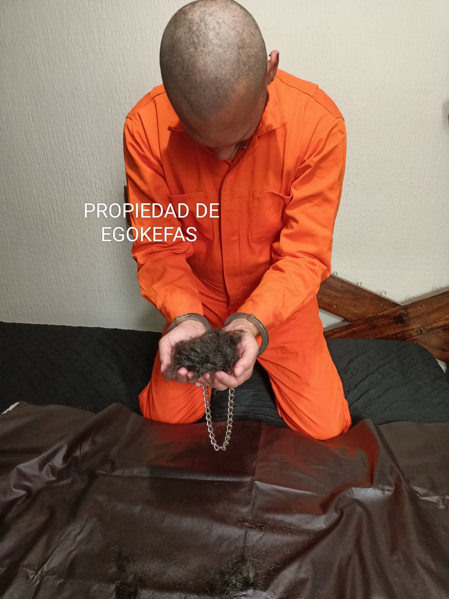 Príncipe slave tweet media