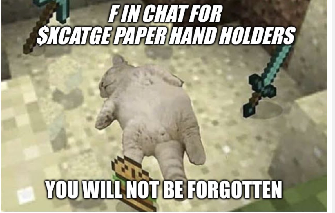 CAT EAT CAT WORLD OUT HERE!
⚔️👀PURR $XCATGE SOMETHING BREWING BEHIND THE SCENES🐈
$Hpos $SPROTO $PEPE $BOB $MEOW
-
@xcatge 
-