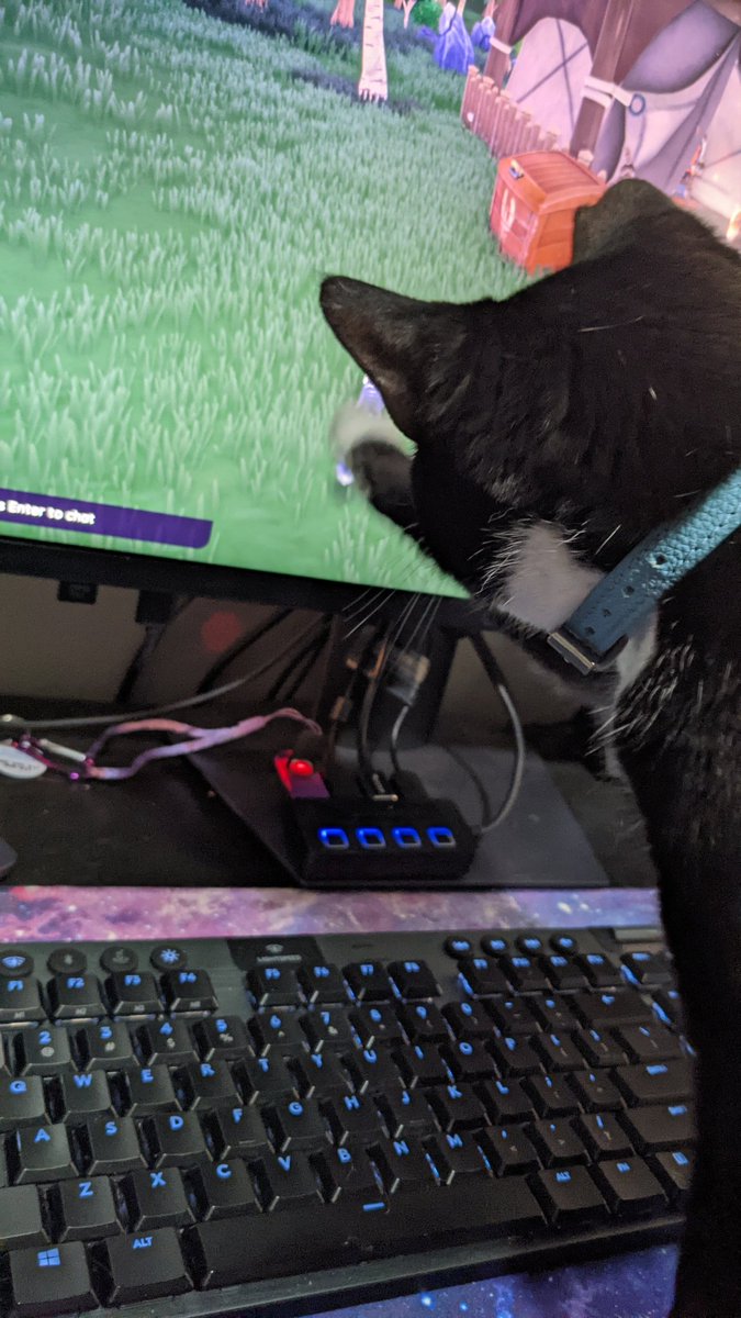 TheJcwolves's tweet photo. @playPalia my (real) cat does not approve of my new companion https://t.co/KSFC8tztdF