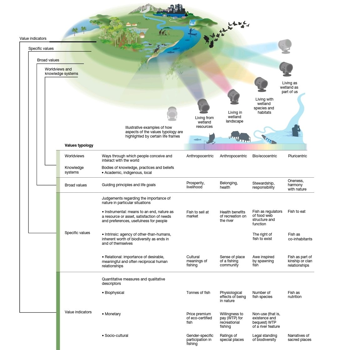 Nature’s diverse values are not integrated properly into decision-making. This overview in @nature based on <a href="/IPBES/">ipbes</a> describes how and why nature is (under)valued and what to do about it for sustainable futures.
nature.com/articles/s4158…