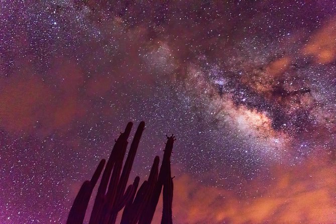 uatcnews's tweet photo. Escape from the ordinary and embrace the extraordinary at Tatacoa Desert in Neiva! With superb sand landscape of varying red and grey, the desert is also a tourist destination for stargazing at night. #BornforAdventure https://t.co/mCcbjXD4mr