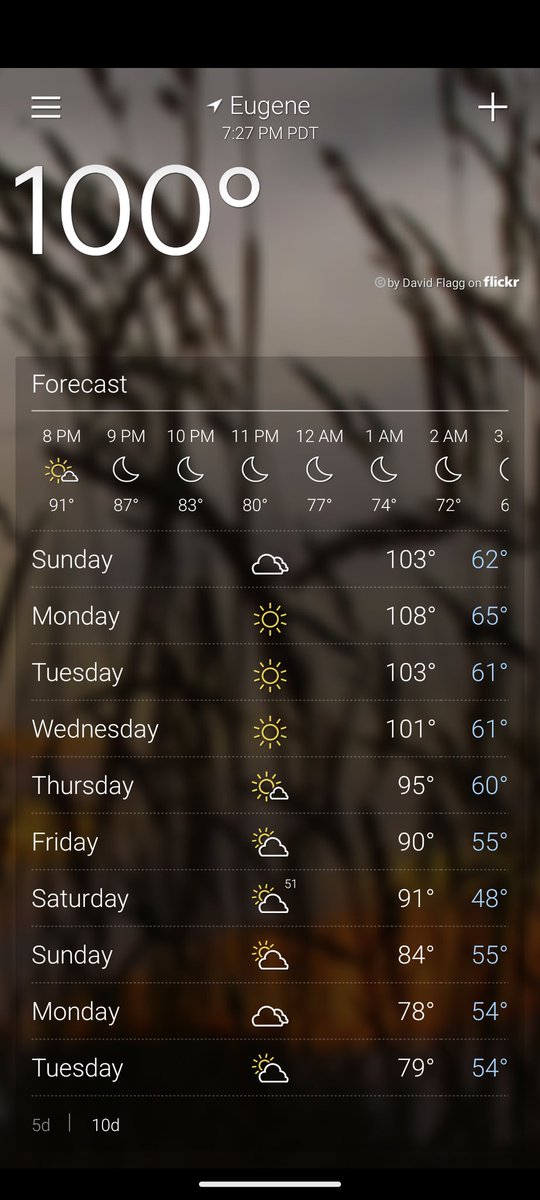 amareze's tweet photo. August 8, Eugene Oregon, Amazon Pool. Weather forecast, Yahoo weather app, Sunday, August 13, and today, August 15. I was thinking of going swimming on Monday, but even I, who goes swimming if it is very hot, thought that outdoor swimming at 108F was not a good idea. 1 of 5 https://t.co/qWXMgA84xr